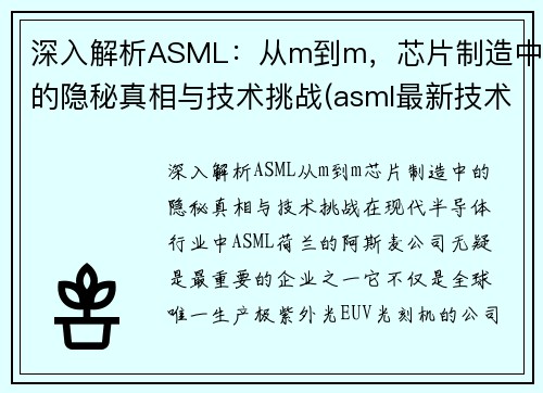 深入解析ASML：从m到m，芯片制造中的隐秘真相与技术挑战(asml最新技术)